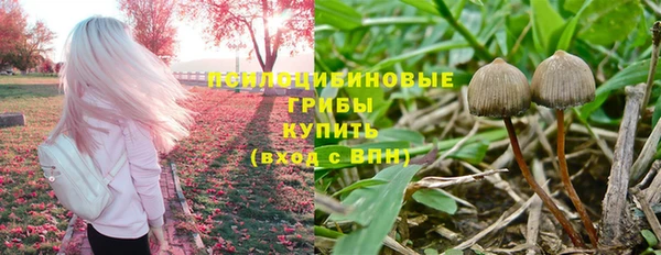 spice Волосово