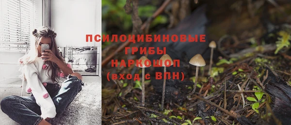 твердый Володарск
