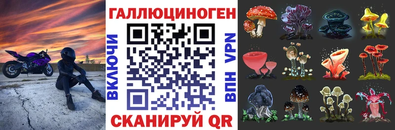 Псилоцибиновые грибы Cubensis  MEGA сайт  Саранск 